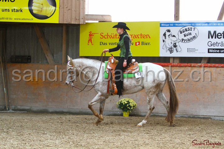 31-ApHC OWP_016.jpg
